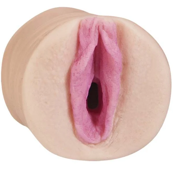 ALL STAR PORN STARS ULTRASKYN POCKET PALS FAYE REAGAN