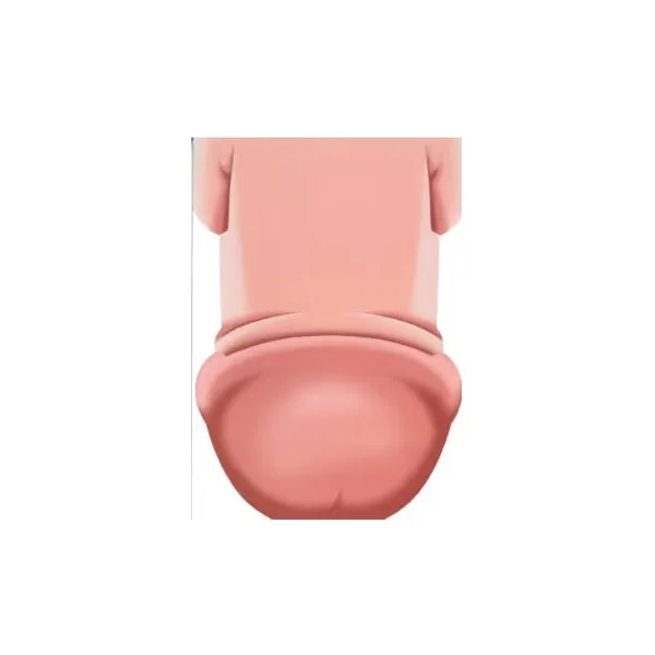 Birthday Card "Penis"