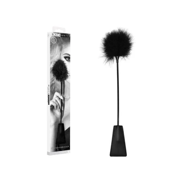 Black & White Whip With Tickle Feather