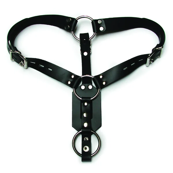 BUTT PLUG HARNESS W/COCK RING