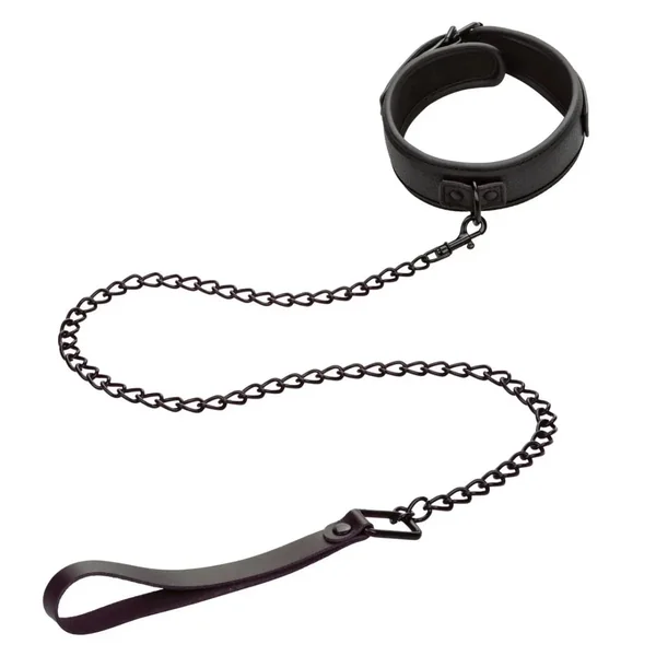 CalExotics® Nocturnal™ Collection Collar & Leash