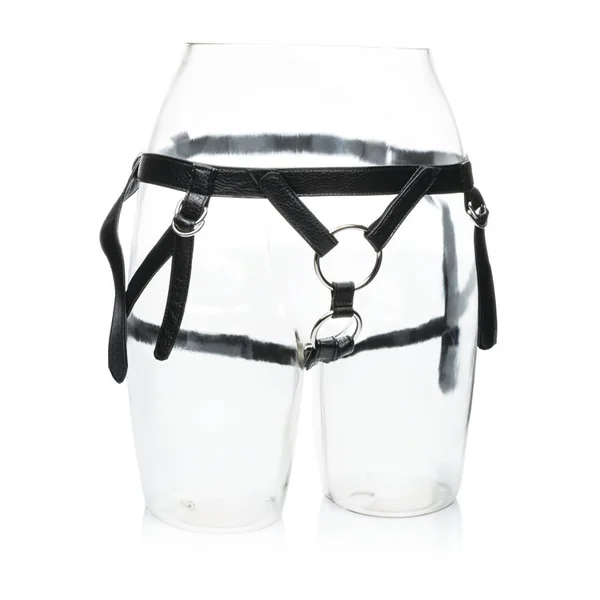 (D) HER ROYAL HARNESS DUCHESS (BULK)