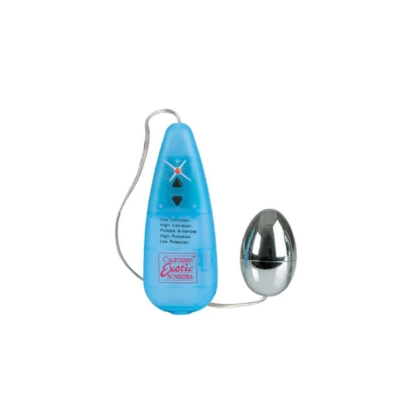 (D) POCKET EXOTIC IMPULSE POCK PACK SILVER EGG