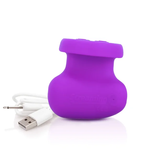 (D) SCREAMING O RUB IT PURPLE RECHARGEABLE VIBRATOR