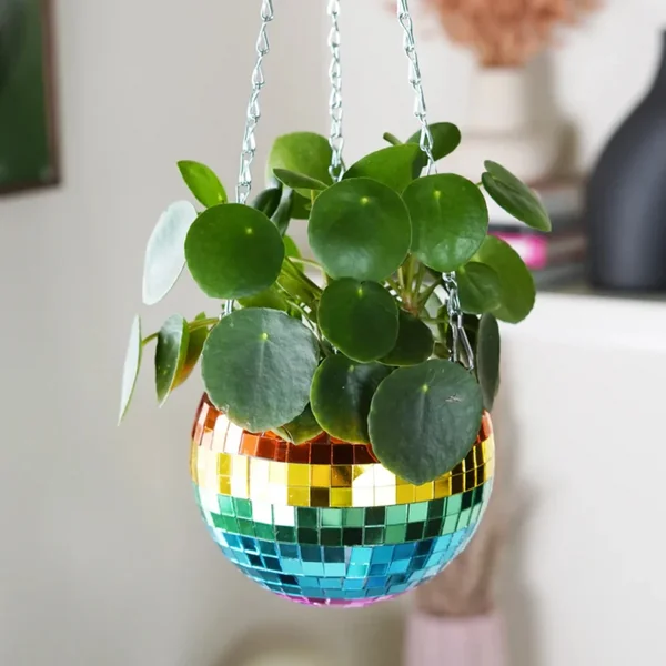 Disco Ball Hanging Planter Rainbow (6in)