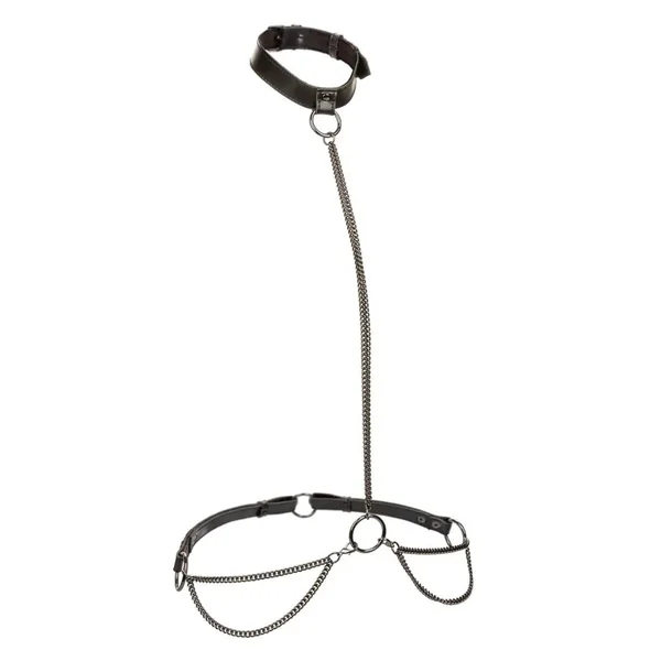 Euphoria Collection Chain Halter and Leash