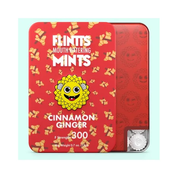 FLINTTS MINTS CINNAMON GINGER