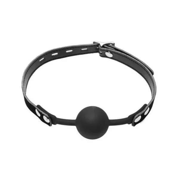 Hush Silicone Ball Gag