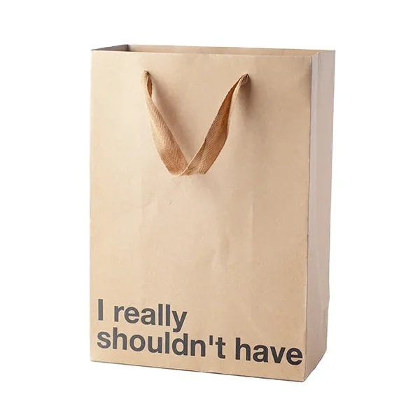 I Really Shouldn’t Have Gift Bag – Pack of 3
