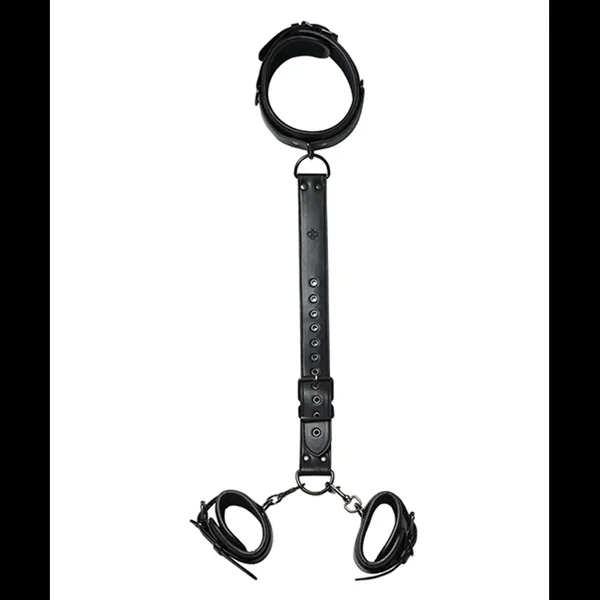 Kinky Play Box Locking Harness Collar