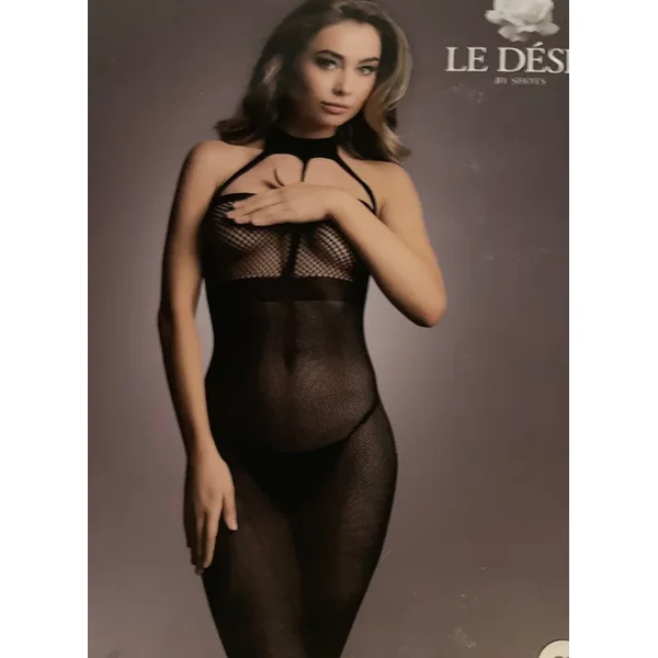 Le Désir Black Sheer Mesh High Neck Dress