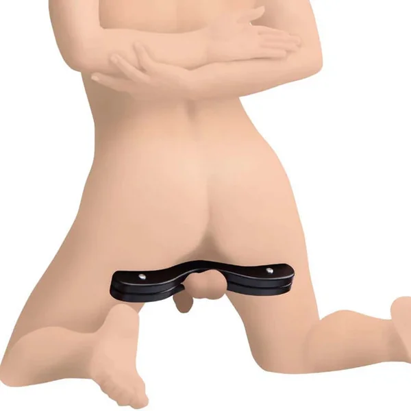 Master Series Enforcer Wooden Humbler by XR