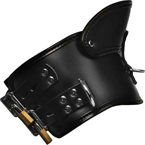 Master Series Rigid Locking Posture Collar With Chin Brace