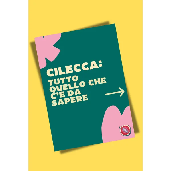 PDF Guida Cilecca: tutto quello che c'è da sapere