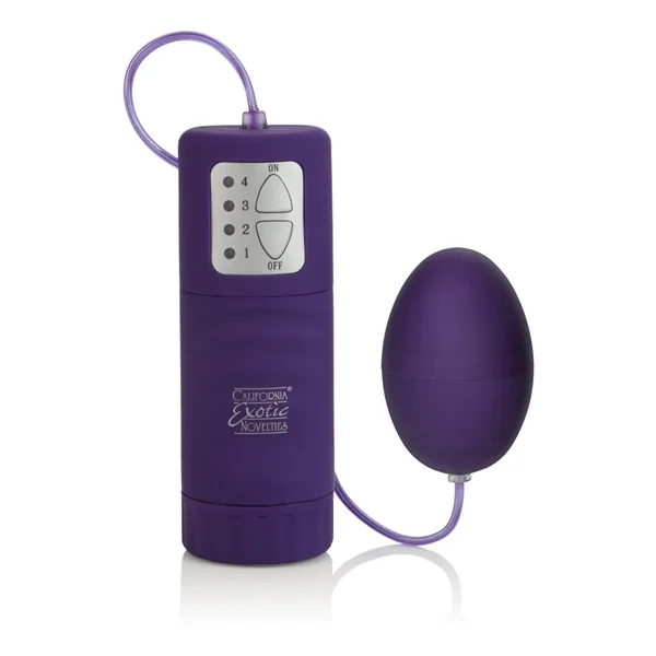 POCKET EXOTICS EGG W/P