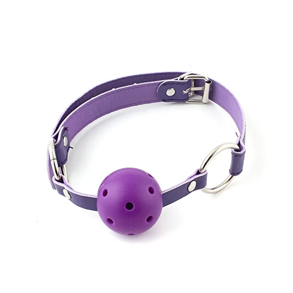 Purple Ball Mouth Gag