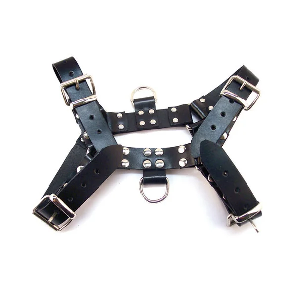 Rouge Over The Head Harness