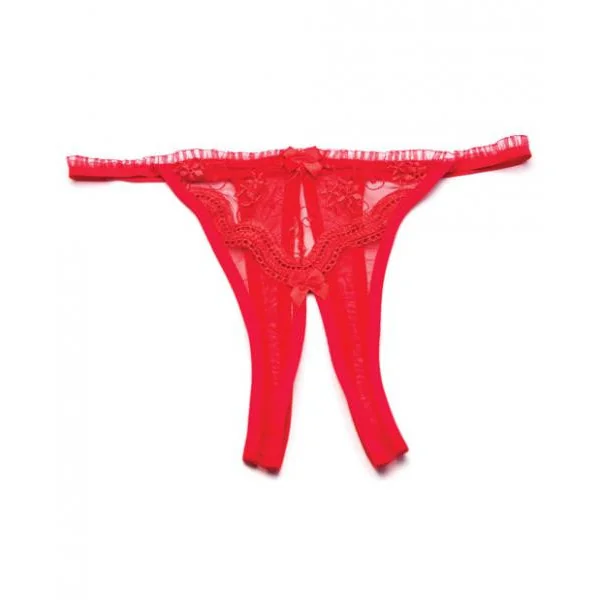 Shirley Of Hollywood Scalloped Embroidered Crotchless Panty