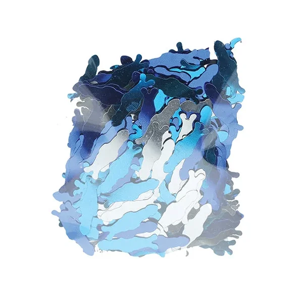 Shots The Dickheads Confetti – Multi Colors