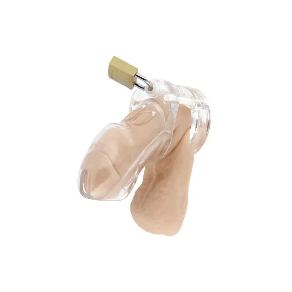 The CB3000 Male Chastity Device