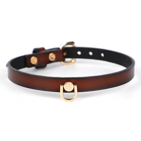 ZYL Slim Genuine Leather D-Ring Day Collar